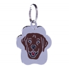 Picture of TAG RAINBOW LABRADOR BEIGE